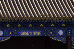 DSC_0610-HDR
