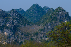 DSC_1434_banner